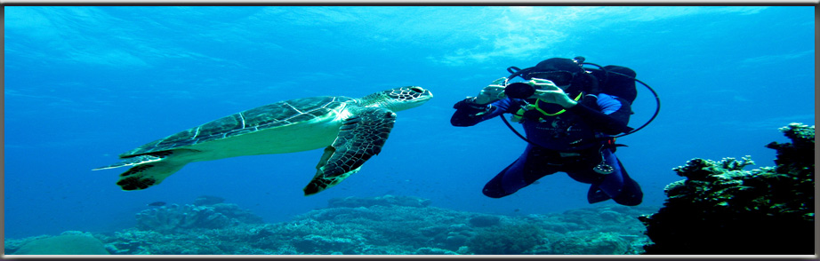 padi scuba instruction