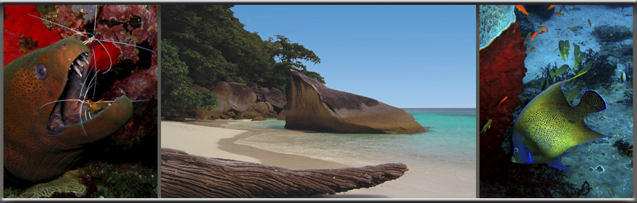 Beautiful Similan Islands