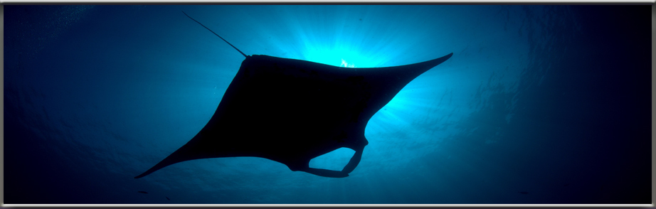 Beautiful Similan Islands